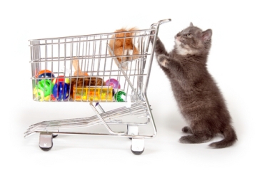 shopping