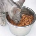 catmeal