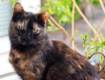 what he/she looks like