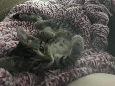 Pose for the camera!